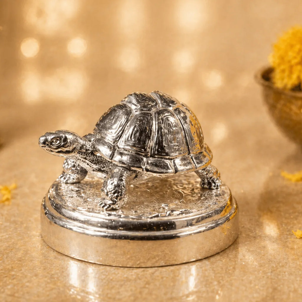 Kuber Mini Tortoise