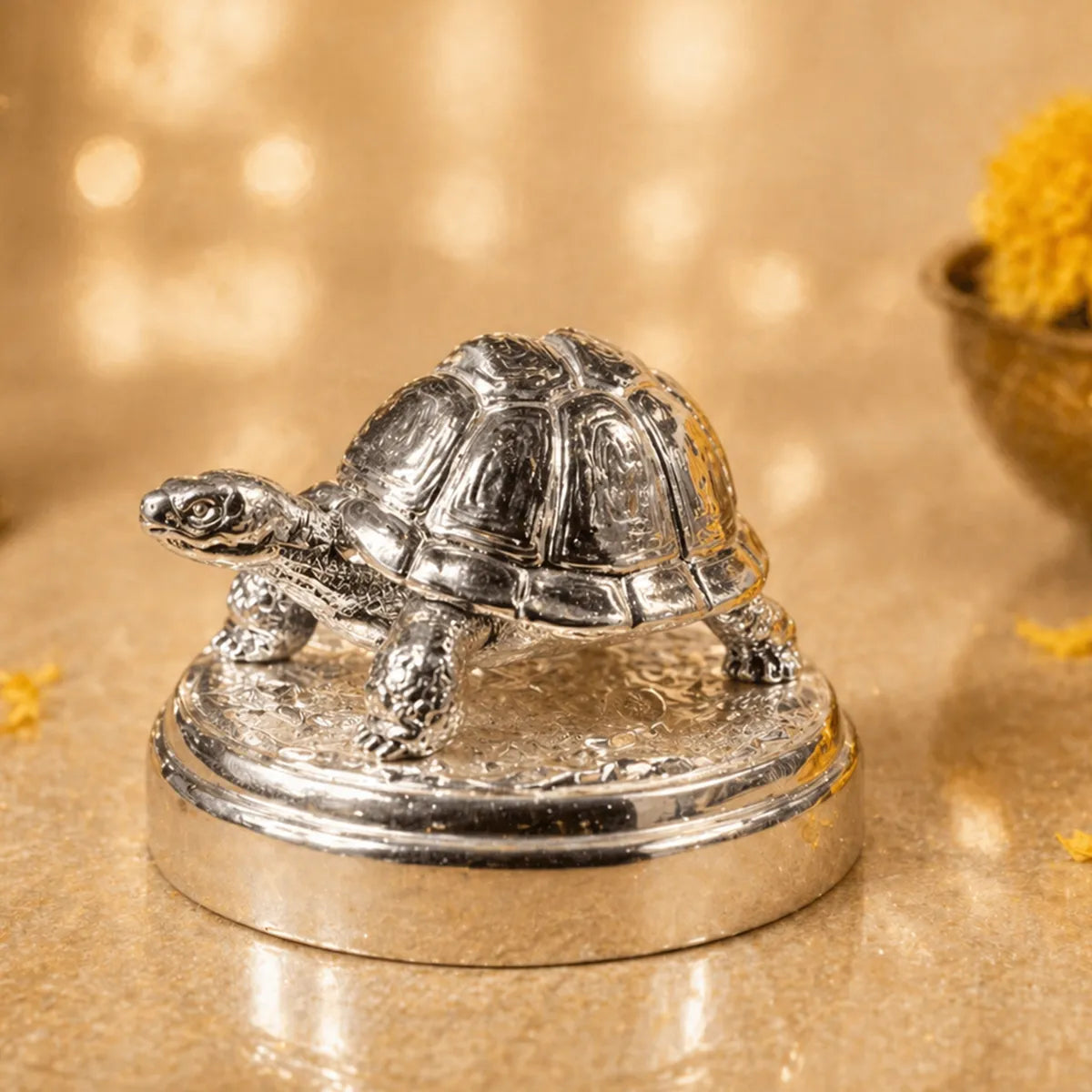 Kuber Mini Tortoise