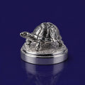 Kuber Mini Tortoise